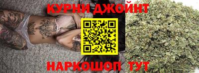 гашик Будённовск