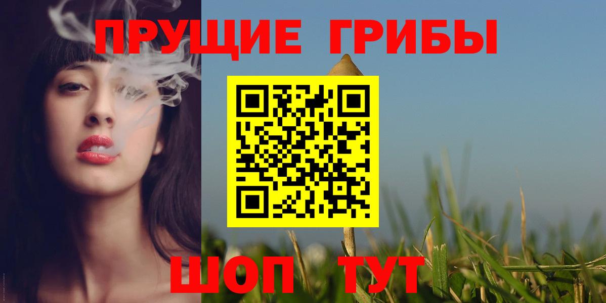 Псилоцибиновые грибы Psilocybe  Вход с VPN  Псилоцибиновые грибы Cubensis  наркота  Мценск 